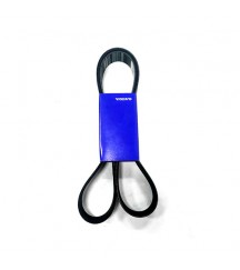 V-ribbed belt 11709635